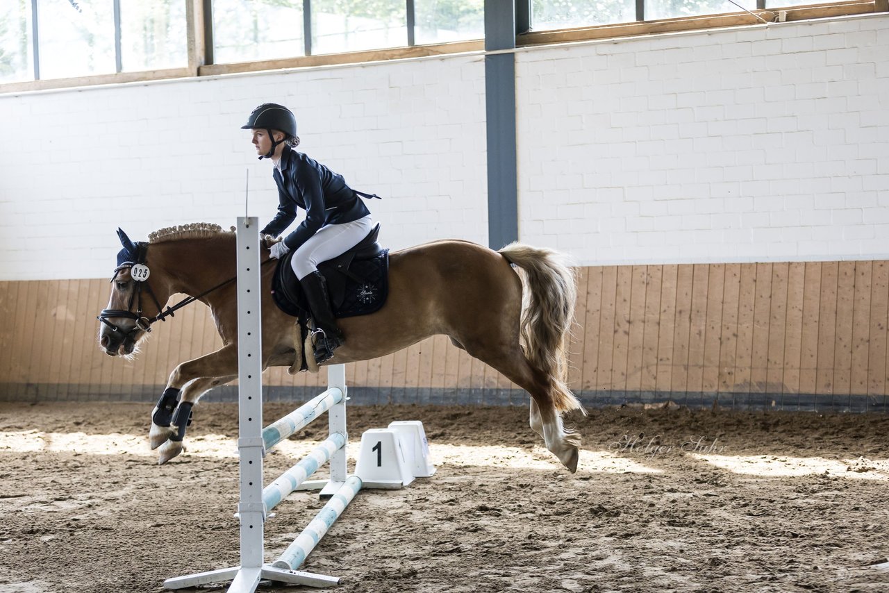 Bild 35 - Pony Akademie Turnier